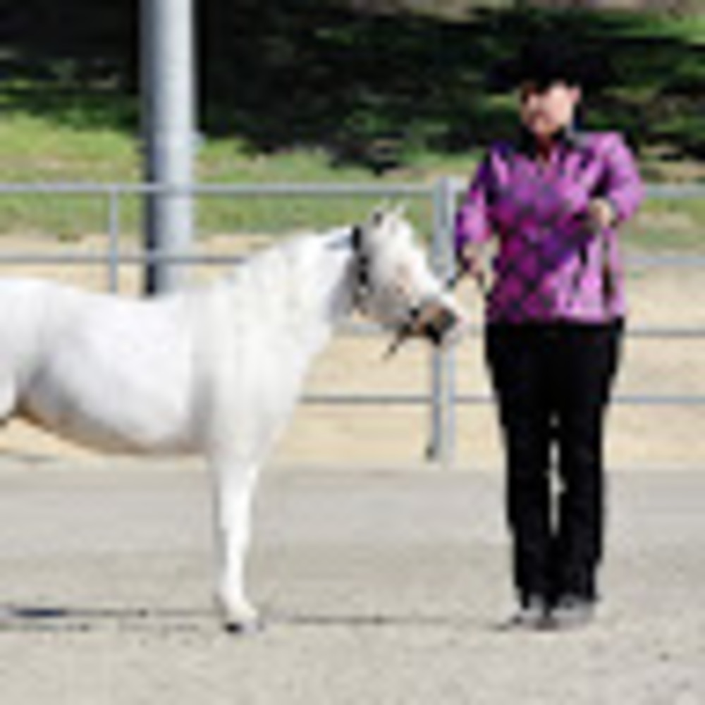 Meet your Posher, Kaydee